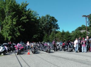 Pink Angels 2013