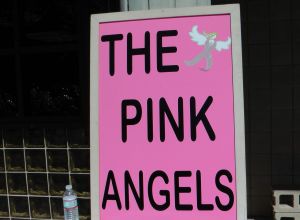 Pink Angels 2013